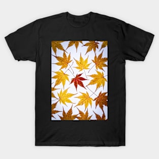 Acer Leaf Collage T-Shirt